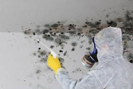 Pittsboro, NC Mold Remediation Company